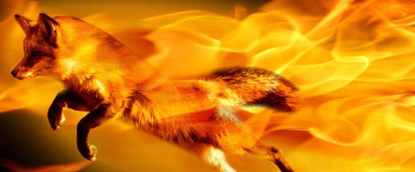 foxyspider addons for firefox